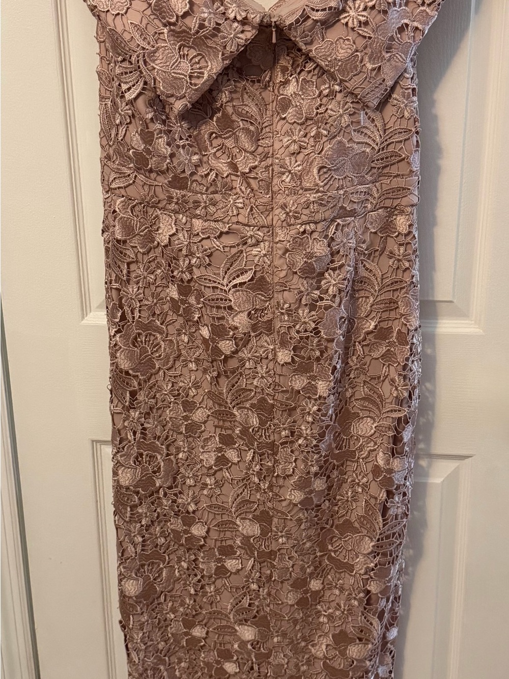 Xscape Blush Pink Floral Lace Gown - Picture 8 of 10